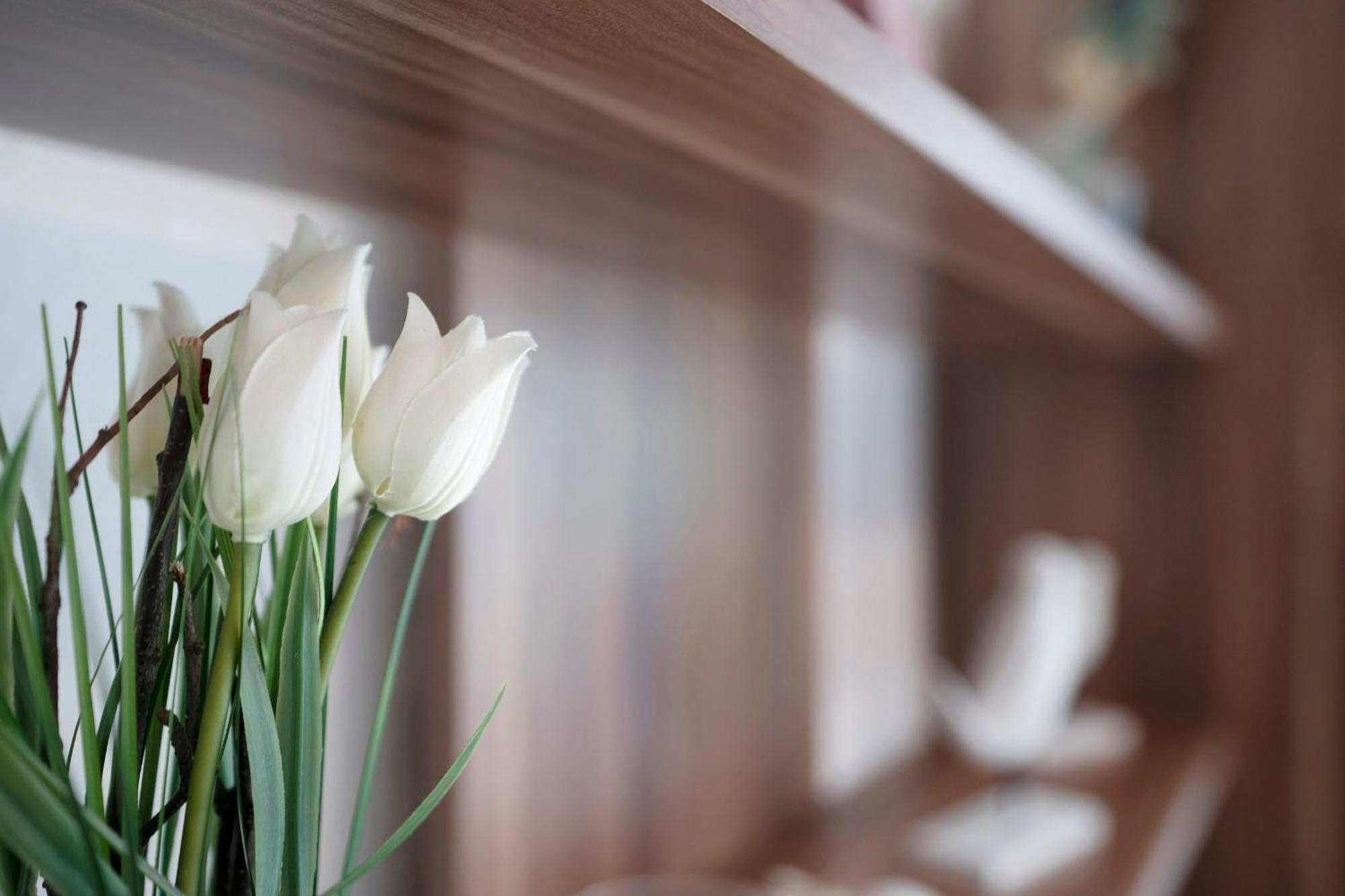 Haus Waldfrieden Ferienhaeuschen Waldfrieden Apartment Haffkrug Bagian luar foto